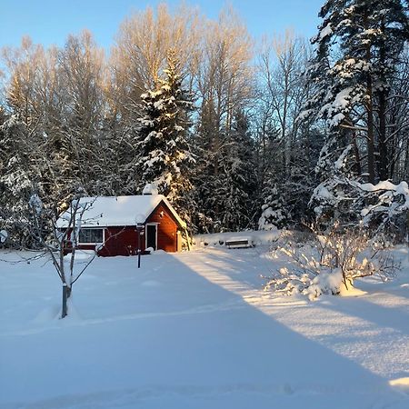 Egen Stuga Med Delat Badrum Bed & Breakfast Norrtalje Exterior photo